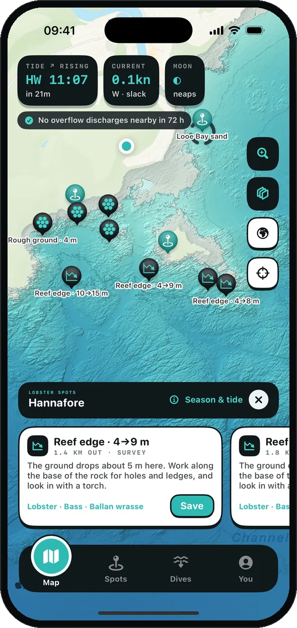 Lobster spots suggested off Hannafore: reef edges and rough ground